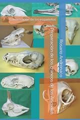 Preparación de los cráneos de los Animales: Conservación de los esqueletos (Pieles, taxidermia, cráneos, mamíferos) segunda mano  Se entrega en toda España 