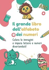 Grande libro dell usato  Spedito ovunque in Italia 