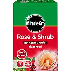 Miracle gro rose for sale  Delivered anywhere in UK