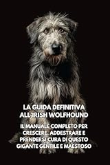 Guida definitiva all usato  Spedito ovunque in Italia 