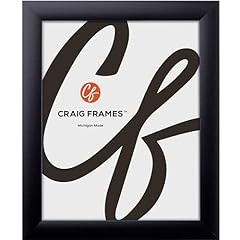 Craig frames contemporary for sale  Delivered anywhere in USA 