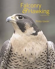 Falconry hawking for sale  Delivered anywhere in UK