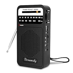 Dreamsky pocket radios for sale  Delivered anywhere in USA 