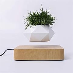Kiko ershaa levitating gebraucht kaufen  Wird an jeden Ort in Deutschland
