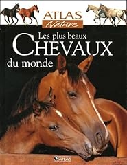 Beaux chevaux d'occasion  Livré partout en France