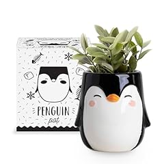 Apa papa penguin for sale  Delivered anywhere in USA 