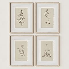 Wall art botanical for sale  Delivered anywhere in USA 