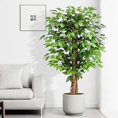 Keeplush kunstpflanze ficusbau gebraucht kaufen  Wird an jeden Ort in Deutschland