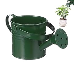 Annaffiatoio giardino vaso usato  Spedito ovunque in Italia 