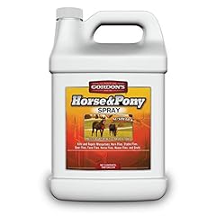 Gordon horse pony for sale  Delivered anywhere in USA 
