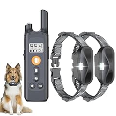 Freundliches hundehalsband tie gebraucht kaufen  Wird an jeden Ort in Deutschland