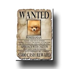 Pomeranian wanted fridge for sale  Delivered anywhere in USA 