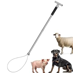 Zheqogzh dog catcher for sale  Delivered anywhere in USA 