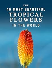 Beautiful tropical flowers for sale  Delivered anywhere in USA 