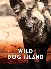 Wild dog island for sale  Delivered anywhere in USA 