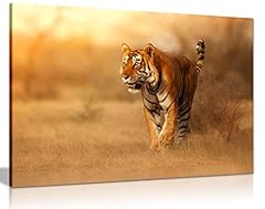 Bengal tiger wildlife for sale  Delivered anywhere in UK