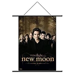 Twilight new moon gebraucht kaufen  Wird an jeden Ort in Deutschland