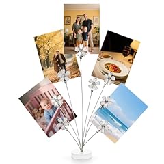 Hacaroa photo tree for sale  Delivered anywhere in USA 