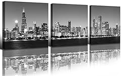 Blinfeiru chicago skyline for sale  Delivered anywhere in USA 