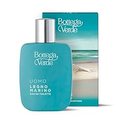 Bottega verde legno usato  Spedito ovunque in Italia 