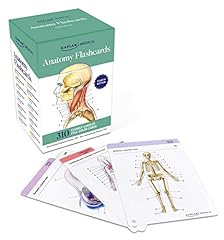 Anatomy flashcards 300 for sale  Delivered anywhere in USA 