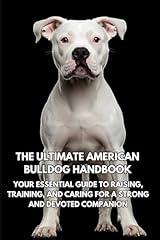 Ultimate american bulldog for sale  Delivered anywhere in UK