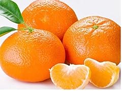 Tangerine mandrin orange for sale  Delivered anywhere in USA 