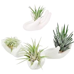Pack air plant for sale  Delivered anywhere in USA 