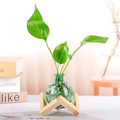 Plant propagation station for sale  Delivered anywhere in USA 