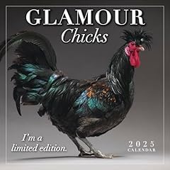 Glamour chicks 2025 for sale  Delivered anywhere in UK