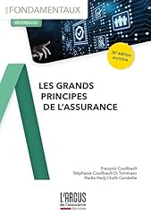 Grands principes assurance d'occasion  Livré partout en France