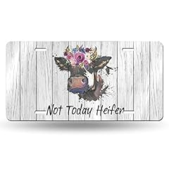 Today heifer cow for sale  Delivered anywhere in USA 