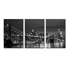 Pacimo new york for sale  Delivered anywhere in USA 