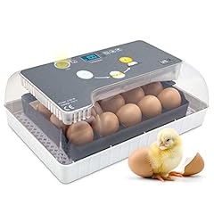 Jumbl clear egg for sale  Delivered anywhere in USA 