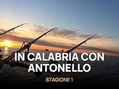 Calabria con antonello usato  Spedito ovunque in Italia 
