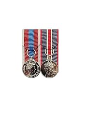Court mounted medal for sale  Delivered anywhere in UK
