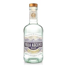 Villa ascenti super usato  Spedito ovunque in Italia 