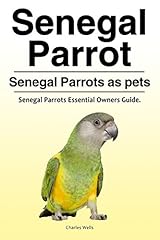 Senegal parrot. senegal for sale  Delivered anywhere in UK