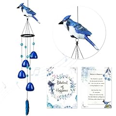 Efoleya bird wind for sale  Delivered anywhere in USA 