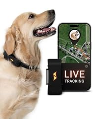 Paj gps tracker gebraucht kaufen  Wird an jeden Ort in Deutschland