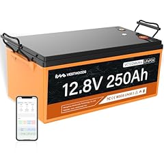 12v 250ah lifepo4 for sale  Delivered anywhere in USA 