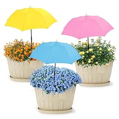 Dianlovs packs plant for sale  Delivered anywhere in USA 