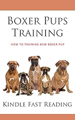Boxer pups training for sale  Delivered anywhere in UK