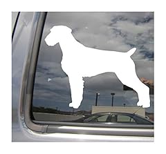German wirehaired pointer for sale  Delivered anywhere in USA 