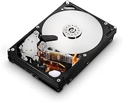 Hgst megascale 4tb gebraucht kaufen  Wird an jeden Ort in Deutschland