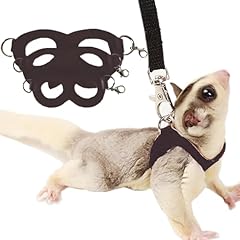 Sugar glider lot d'occasion  Livré partout en France