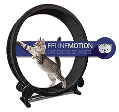 Cat exercise wheel for sale  Delivered anywhere in UK