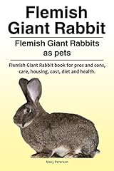 Flemish giant rabbit. for sale  Delivered anywhere in USA 