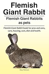 Flemish giant rabbit. for sale  Delivered anywhere in USA 