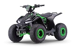 Nitro kinder quad gebraucht kaufen  Wird an jeden Ort in Deutschland
